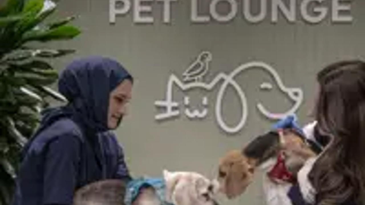 Airfind news item