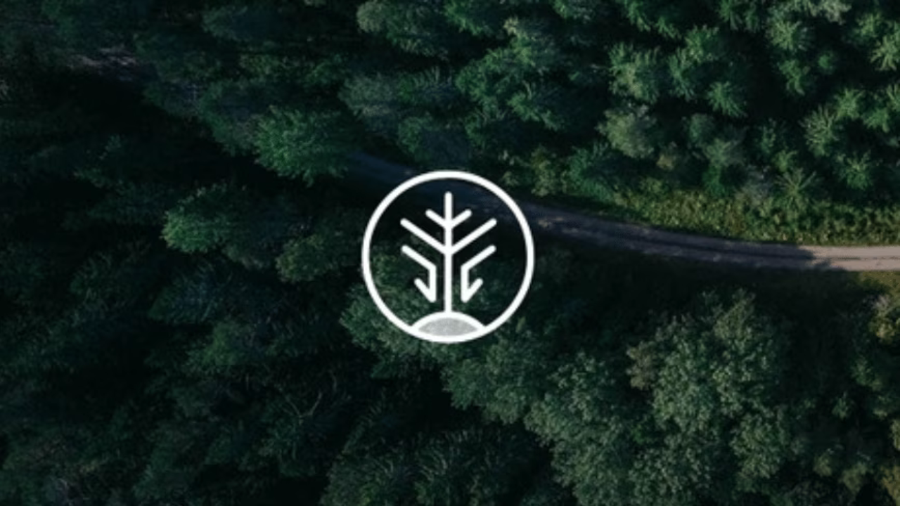 Airfind news item