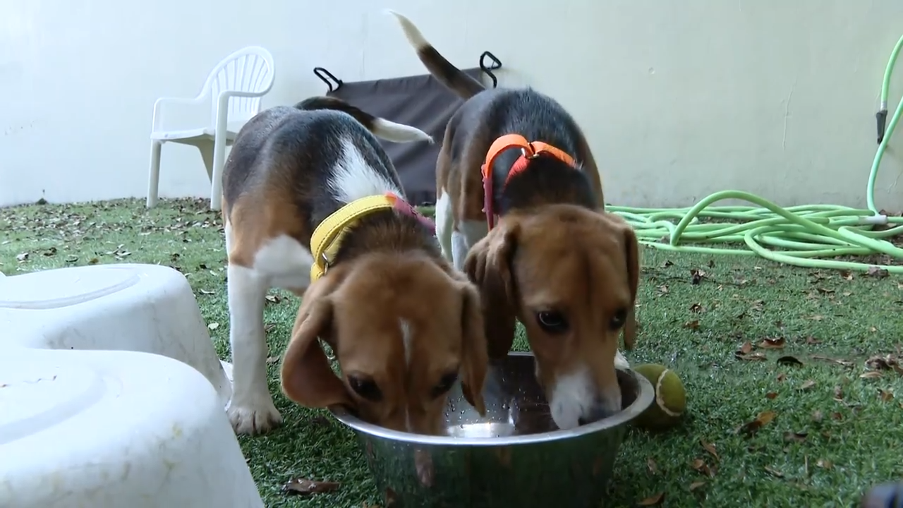 Airfind news item