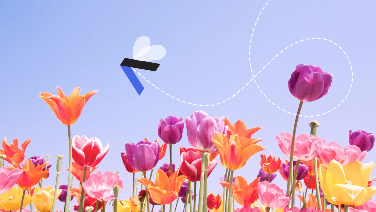 Airfind news item