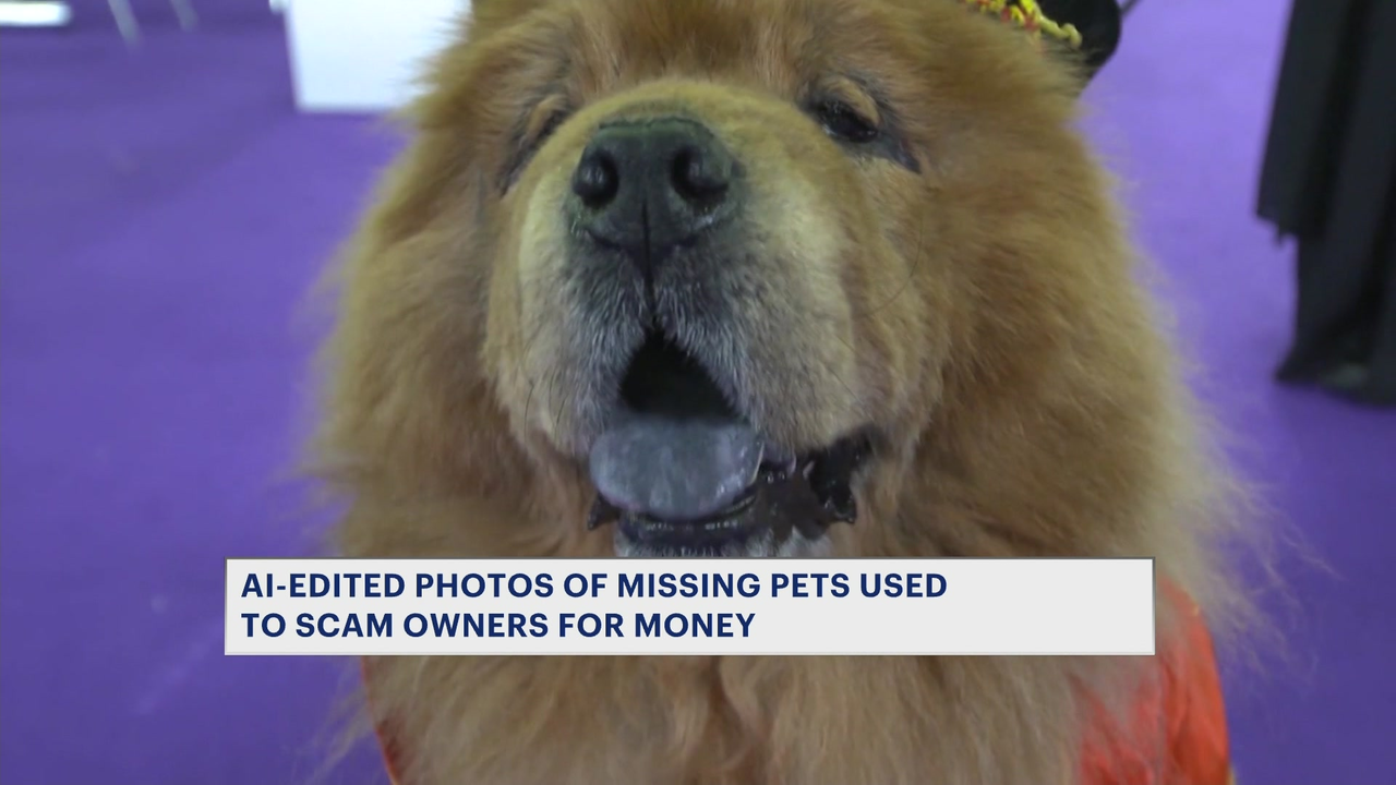 Airfind news item